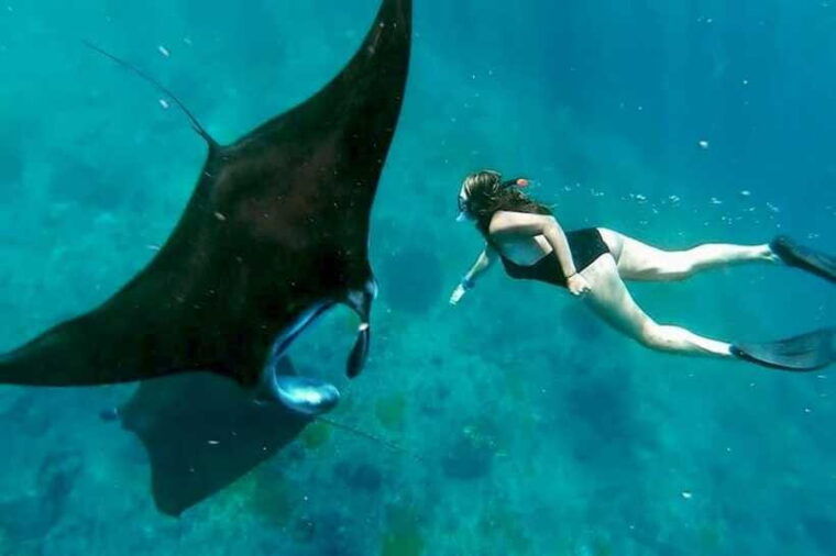 from-bali-snorkeling-penida-lembongan-and-mangrove-tour