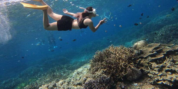 from-bali-swim-with-manta-rays-in-nusa-penida