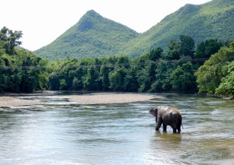 from-bangkok-elephantsworld-kanchanaburi-2-day-experience