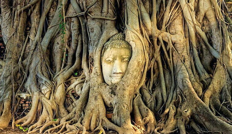from-bangkok-tour-ayutthaya-lunch-spanish-guide