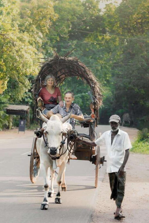 from-bentota-sigiriya-and-dambulla-day-trip-and-safari