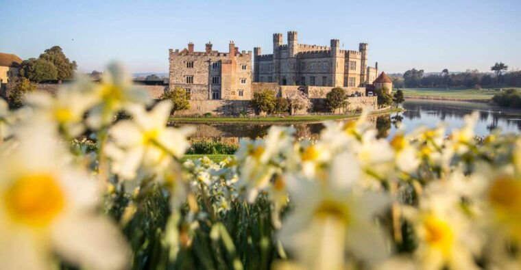 from-brighton-leeds-castle-canterbury-full-day-trip