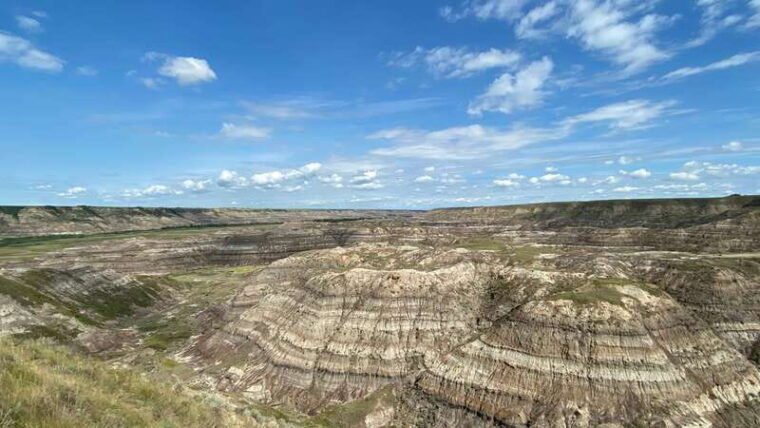 from-calgary-canadian-badlands-private-geological-tour