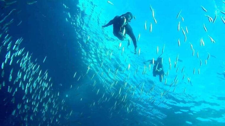 from-cebu-city-moalboal-pescador-snorkeling-tour-lunch