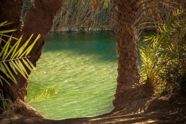 from-chania-day-trip-to-preveli-beach-damnoni-beach