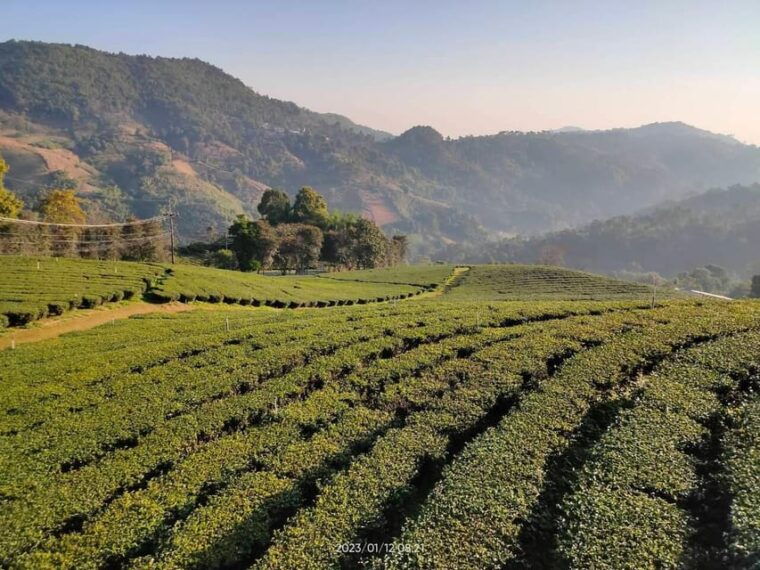 from-chiang-mai-2-days-chiang-rai-all-highlights