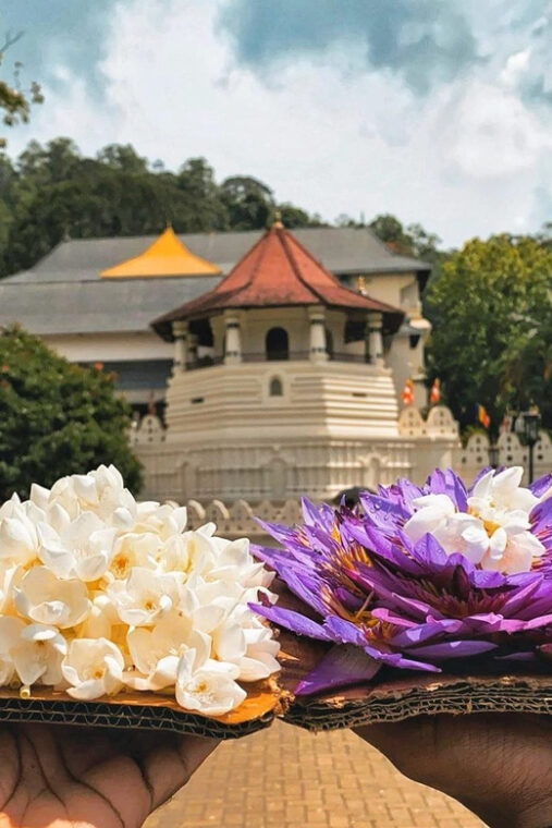 from-colombo-kandy-pinnawala-orphanage-short-excursions