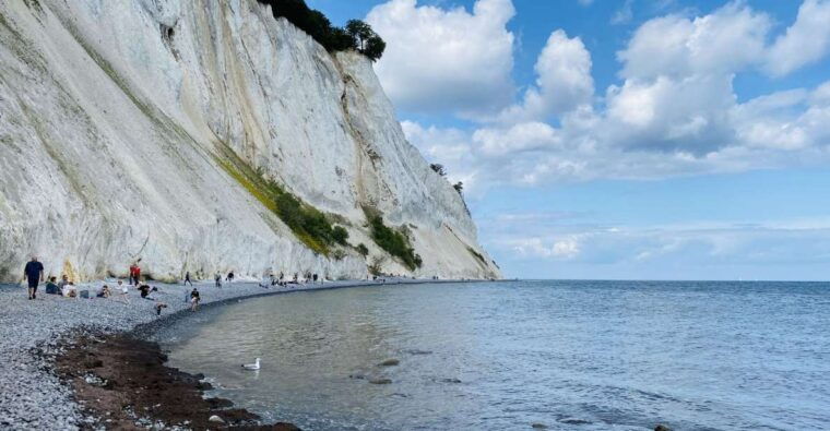 from-copenhagen-round-trip-to-mons-klint-and-forest-tower