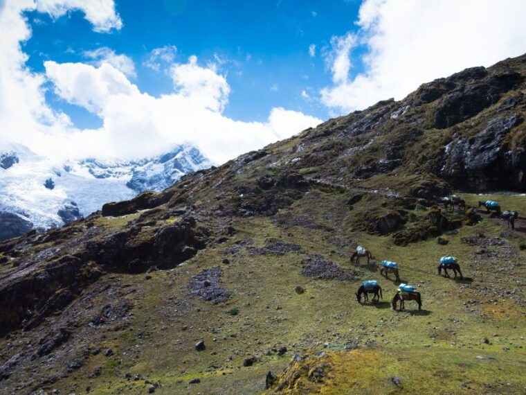 from-cusco-4-day-alternative-lares-trail-to-machu-picchu