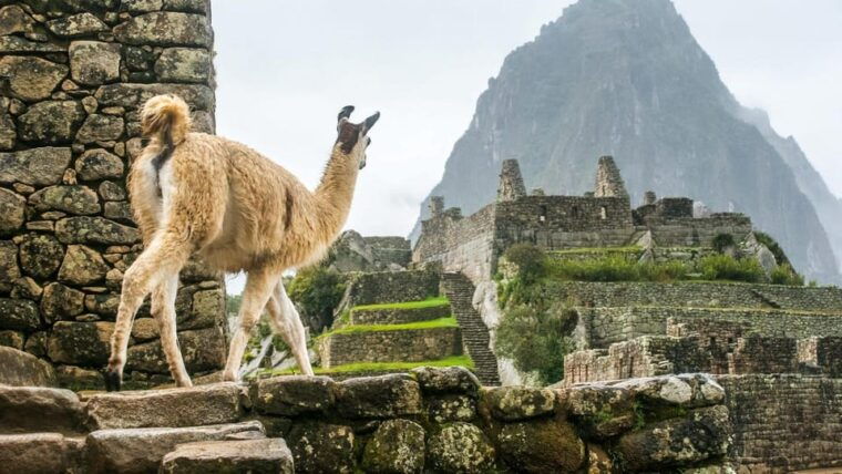 from-cusco-machu-picchu-by-car-2-days-2