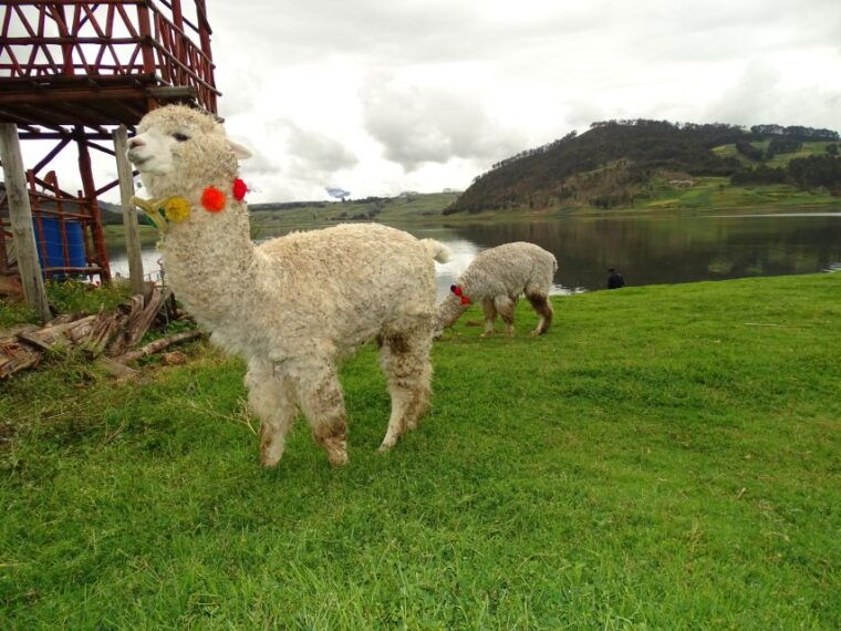 from-cusco-maras-moray-atv-tour