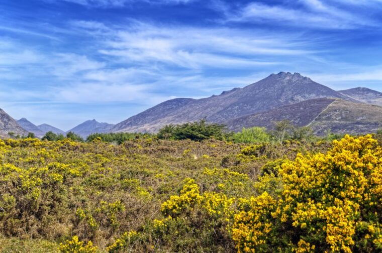 from-dublin-3-day-discover-northern-ireland-tour