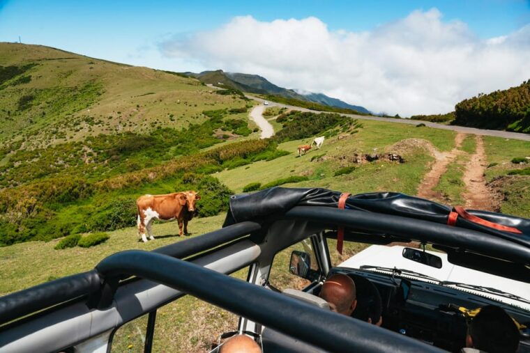 from-funchal-porto-moniz-and-seixal-day-tour-by-jeep