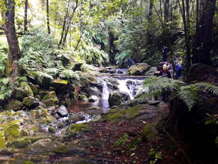 from-funchal-sao-jorge-valleys-levada-walk