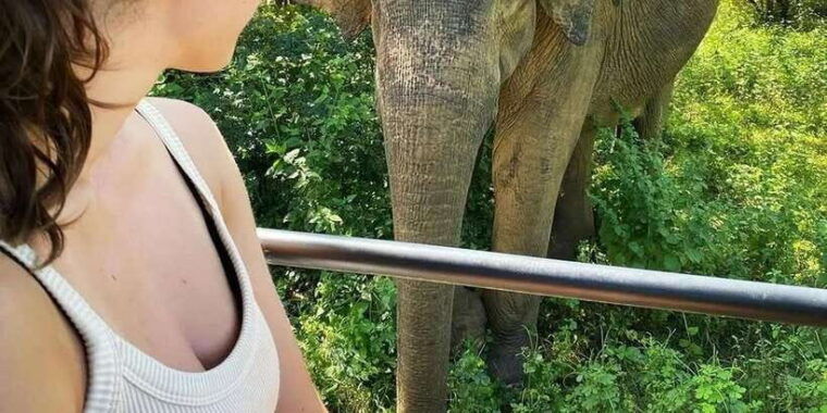 from-galle-weligama-mirissa-yala-safari-bird-park-tour