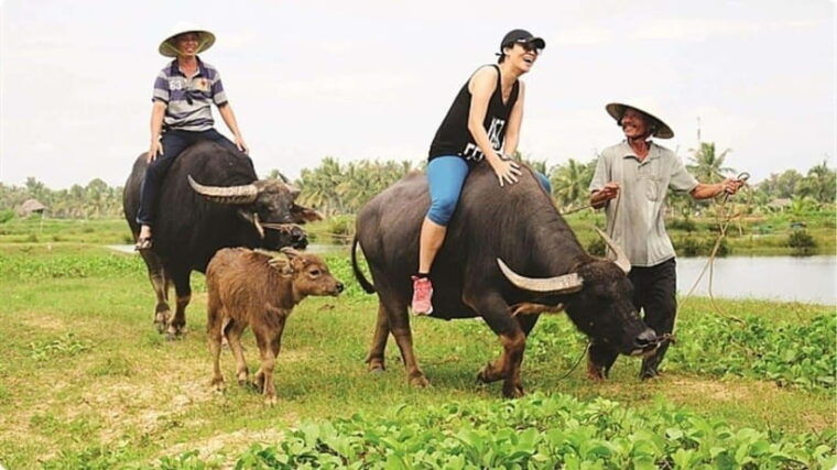 from-garden-to-table-tra-que-farming-tour