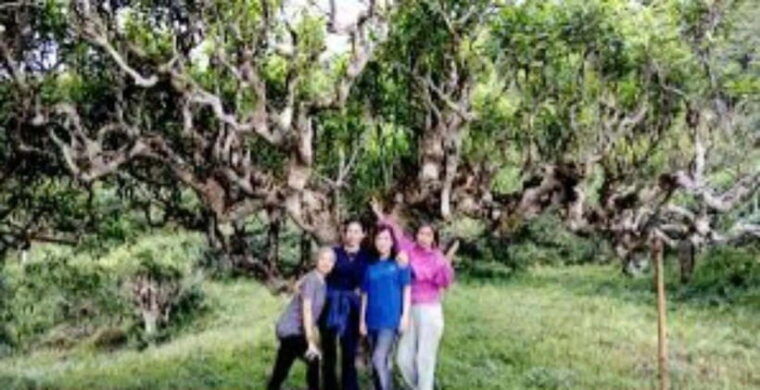 from-hanoi-2-day-ha-thanh-waterfall-and-khuoi-my-village