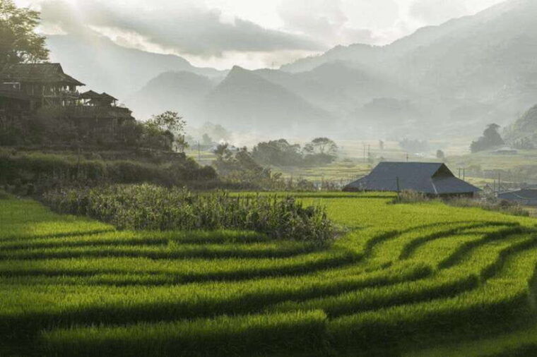 from-hanoi-2-day-sapa-trekking-cat-cat-ta-van-village