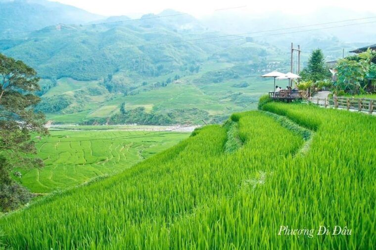 from-hanoi-2-days-sapa-trekking-tour-lao-chai-and-cat-cat
