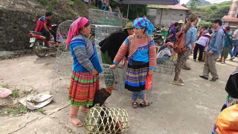 from-hanoi-3-day-sapa-trekking-trip-with-meals-and-homestay