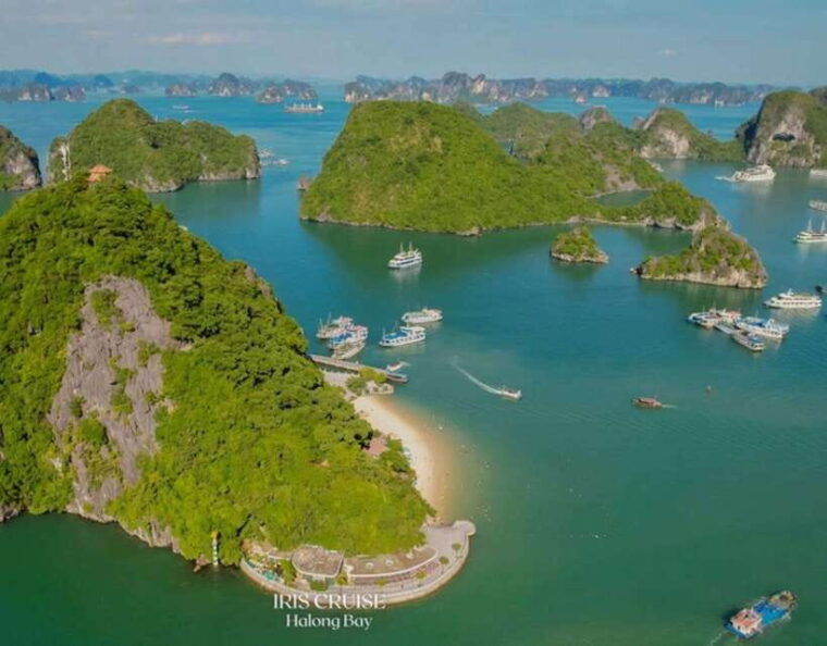 from-hanoi-best-ha-long-bay-tour-on-5-star-pamela-cruise