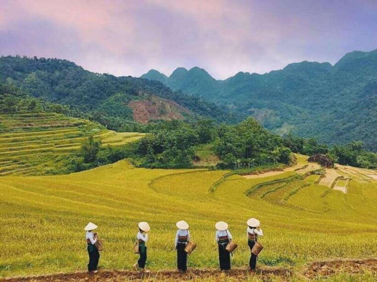 from-hanoi-mai-chau-pu-luong-ninh-binh-3-day-tour