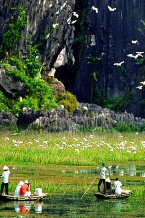 from-hanoi-ninh-binh-2-day-tour-with-hoa-lu-and-tam-coc