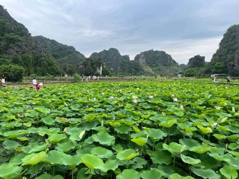 from-hanoi-ninh-binh-adventure-hoa-lu-tam-coc-tour