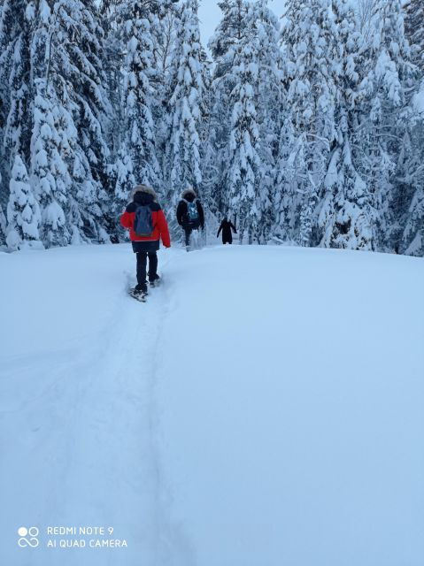 from-helsinki-nuuksio-national-park-hiking-tour-with-food