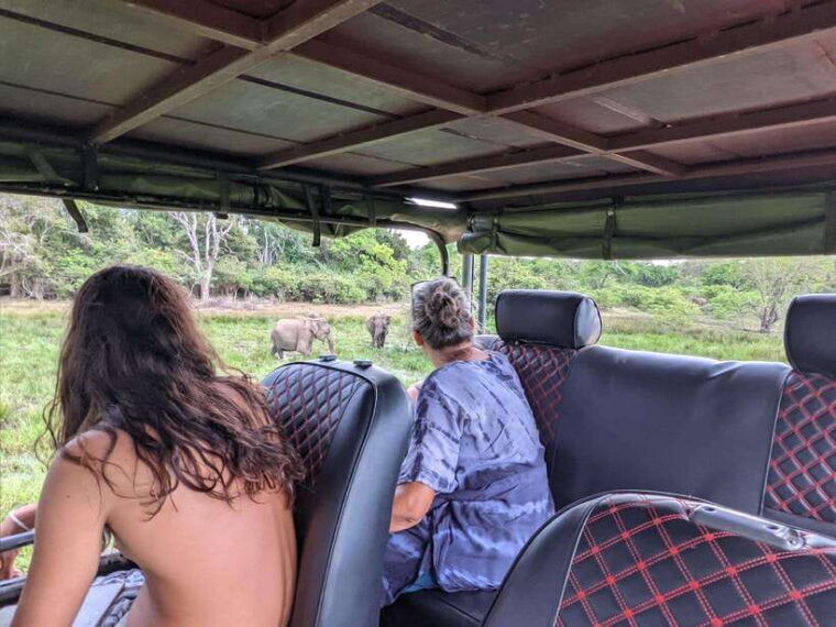 from-hikkaduwa-galle-mirissa-udawalawa-safari-drop-ella