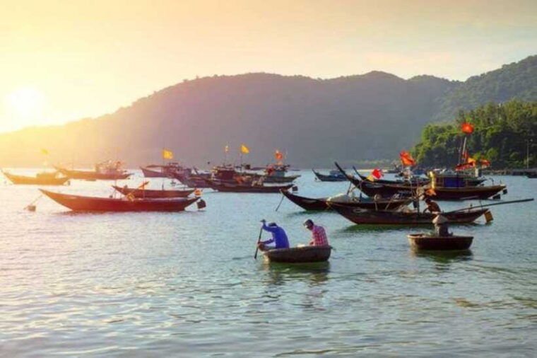 from-hoi-an-cu-lao-cham-day-trip-with-seafood-lunch