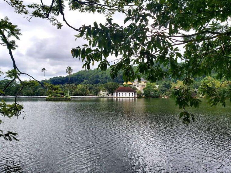 from-kandy-kandy-city-local-tuk-tuk-tour-and-hidden-gems