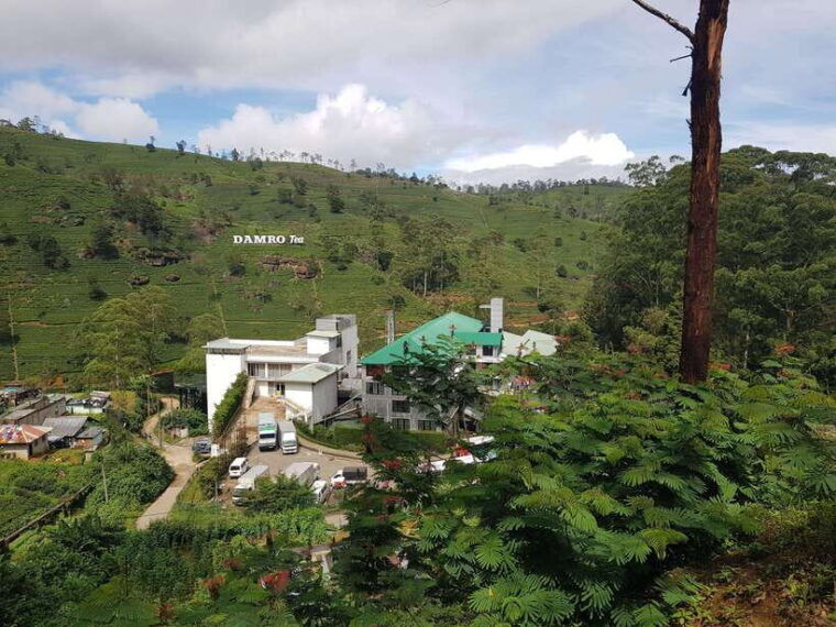 from-kandy-nuwara-eliya-day-tour-with-private-transfers