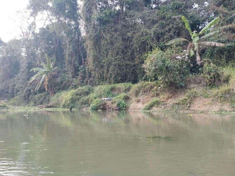 from-kathmandu-or-pokhara-4-day-chitwan-national-park-tour