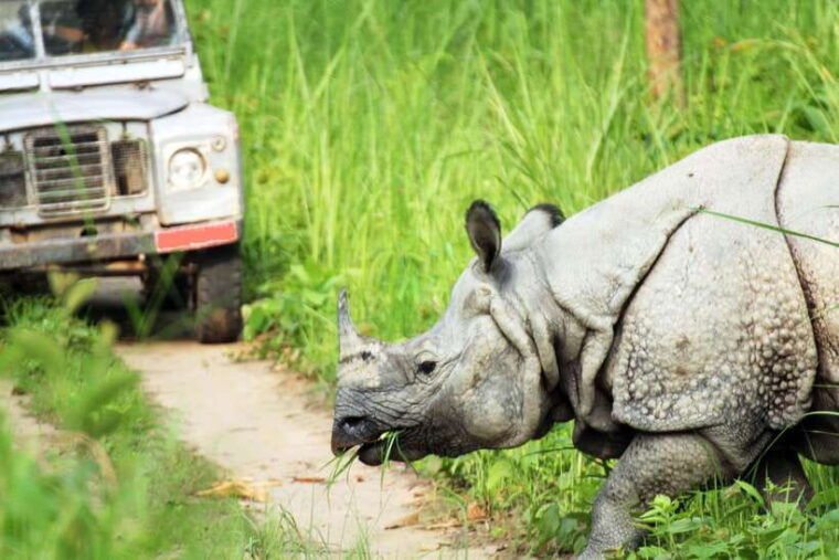 from-kathmandu-pokhara-2-3-or-4-day-chitwan-jungle-safari