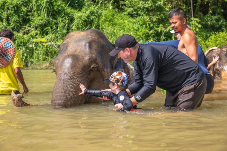 from-khao-lak-day-trip-to-khao-sok-with-elephant-camp-visit