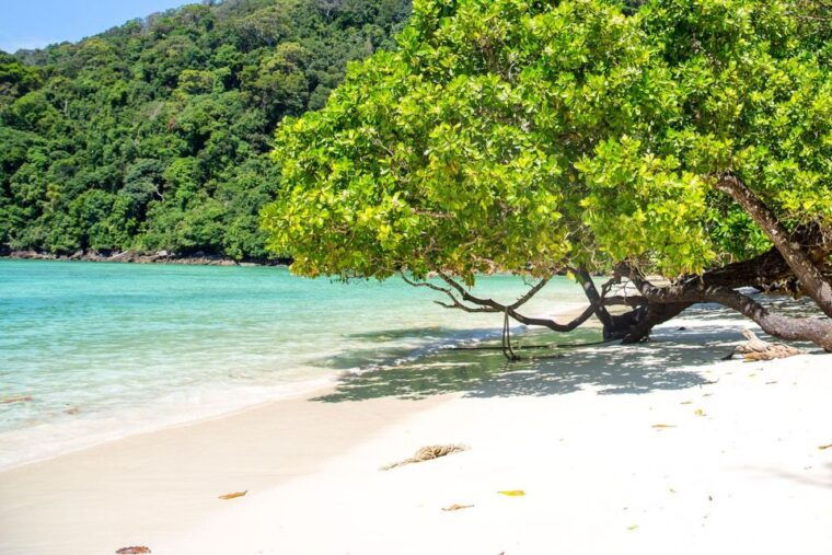 from-khao-lak-surin-islands-snorkeling-tour-w-meals