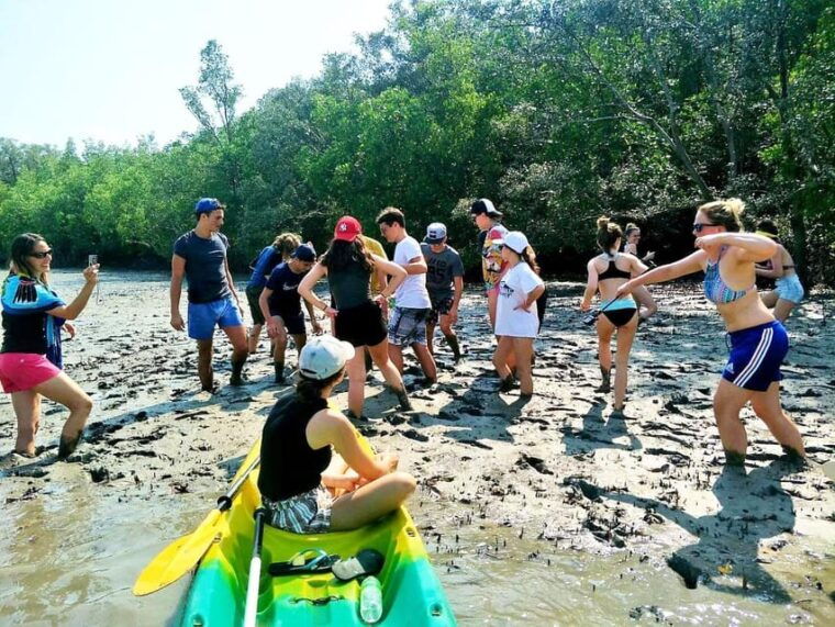 from-ko-lanta-mangrove-eco-excursion-by-longtail-boat