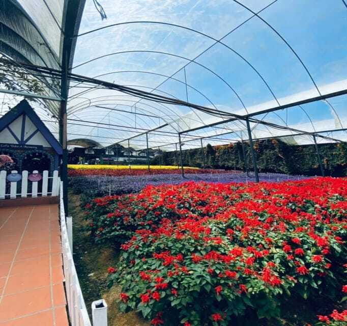 from-kuala-lumpur-cameron-highlands-day-trip-with-transfers