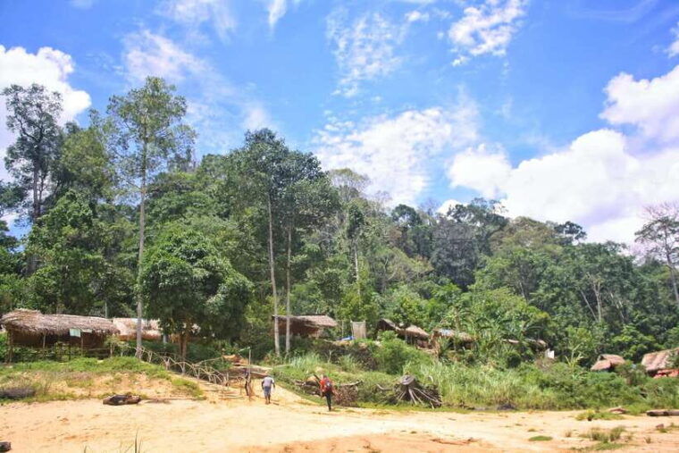 from-kuala-lumpur-taman-negara-national-park-trek-day-tour