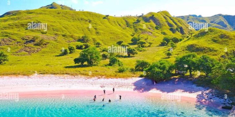 from-labuan-bajo-explore-komodo-dragon-island