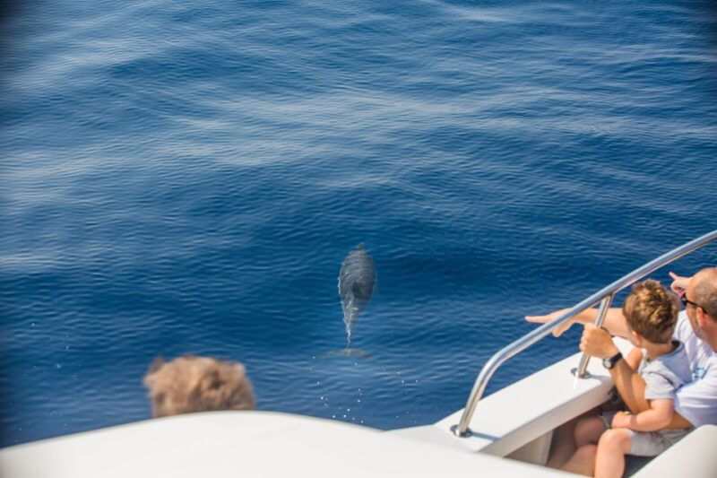 from-lefkimmi-paxos-antipaxos-blue-caves-speedboat-tour