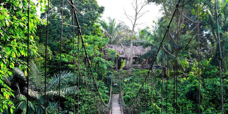 from-medan-mount-leuser-national-park-full-day-trip-2