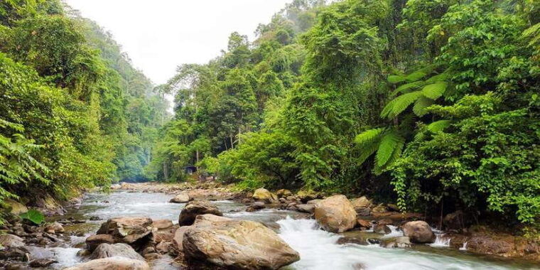 from-medan-mount-leuser-national-park-full-day-trip