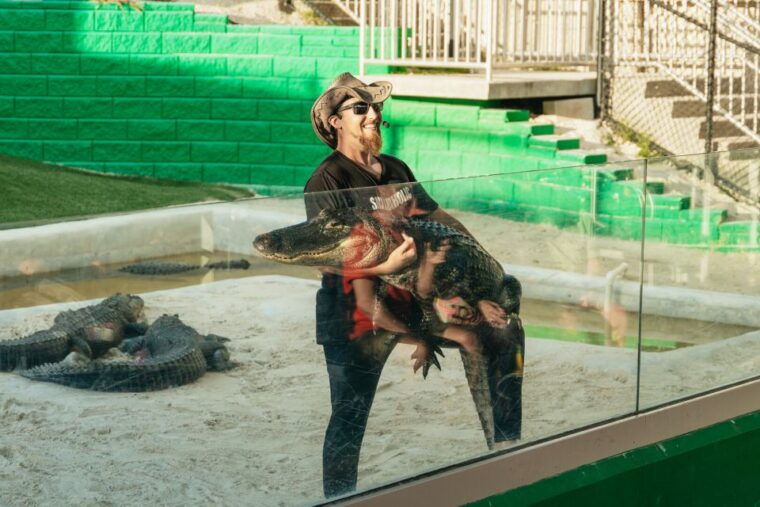 from-miami-everglades-airboat-wildlife-show-bus-transfer