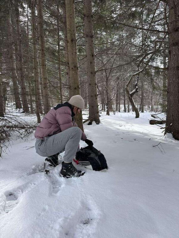 from-mississauga-2-day-muskoka-northern-lights-rv-tour