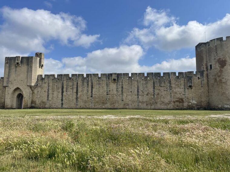 from-montpellier-camargue-and-salt-marshes-guided-tour