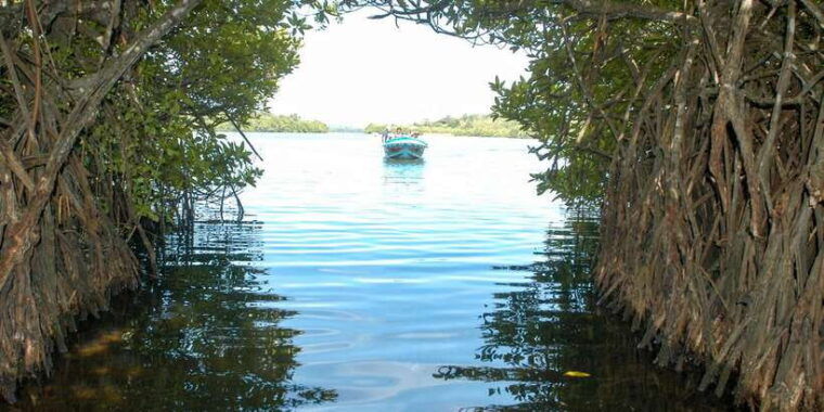 from-negombo-bentota-full-day-tour