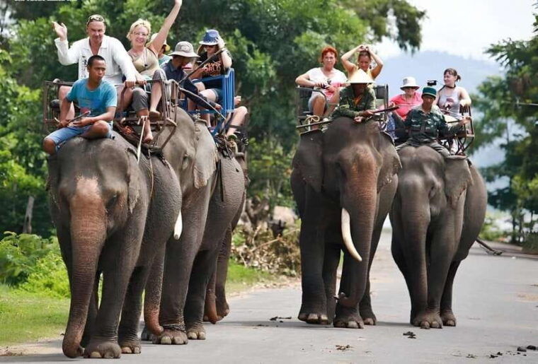 from-nha-trang-1-day-da-lat-tour