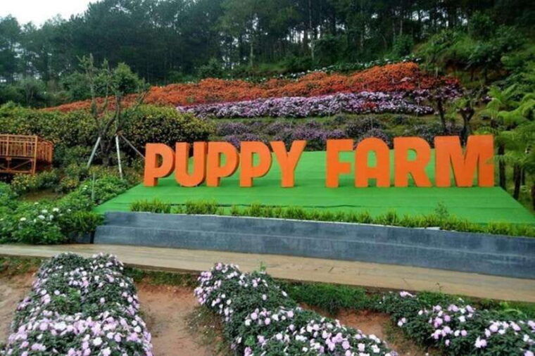 from-nha-trang-3-days-da-lat-tour-with-hotel-pickup